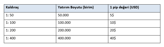 forex kaldıraç oranları